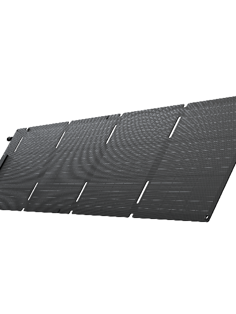 EcoFlow 60W Portable Solar Panel New Arrival